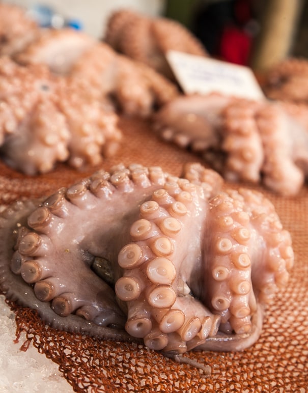 The Real Greek - Greek Food & Ingredients - Octopus